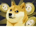 perfect doges
