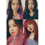 BlackPinks -Blinks-