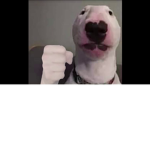 Swagitha Gamrz