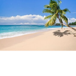 BEACHY BAY DANCE ACADEMY!!