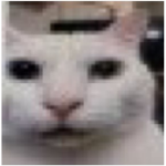 RoTweets [Test]