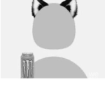 Black and white Bøìš