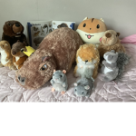 The Rodent Kingdom 2023