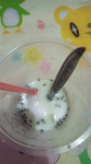 AlikaNafeeza19