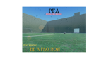 PFA LEAGUE