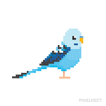 the cool birb gang
