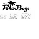 Polar Boys Design