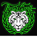 TEAM TIGER BLOX