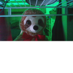 SLOTHsKInGDOM