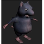 Thick Rat Kingdom