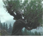 Baum's Potterhead