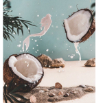 ii..coconuts.ii