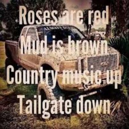 Roses are red vilelots are blue country music tail Roblox decal