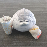 YUKI seals
