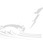 Stormbearers
