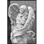 _Angel_xoxo