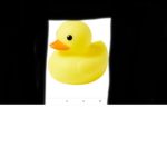 The Duck Chillout