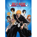~XBleach Soul ReapersX~