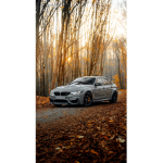 Lesfrerot29