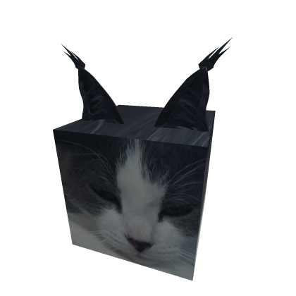 Storm cat