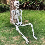 We Stan skeleton from health