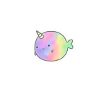 The rainbow narwhal squad