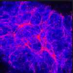 AntiMatter