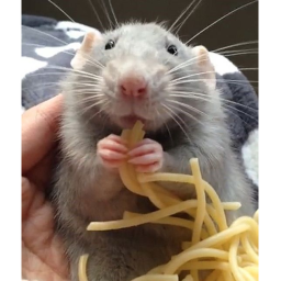 Uplifted Rats Donations