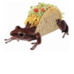 Frog Tacos