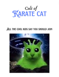 The Cult of Karatecat