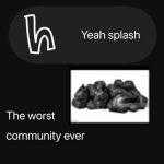 YEAH SALASH