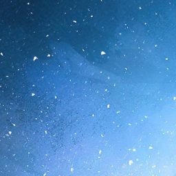 ✧