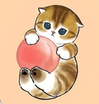 猫ファンクラブ