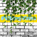 The Vibing Vines
