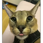 E.D.G.Y