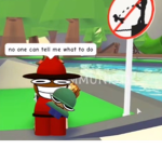 K a d e group