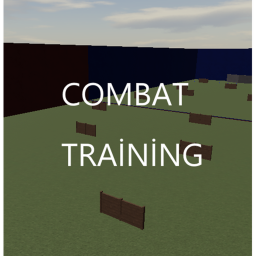 Combat Training