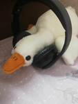 The Duckie Squad