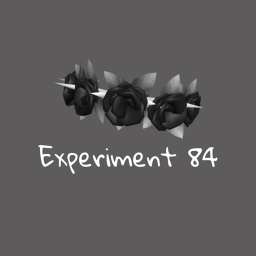 Experiment 84