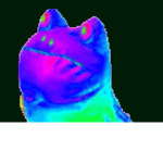 J Turtle's Special Turtle B0is