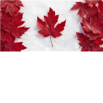 Maple Squad