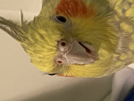 Me so sad