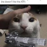 Kittycat_W's Group