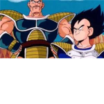 DRAGON BALL Z TFS FAN CLUB