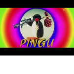 Pingu assault team