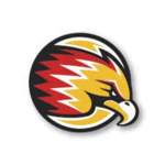 HALCONES DORADOS FC