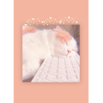 love kitty cats join us Krew of the best cute cats