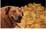 Dont we love chicken nuggets