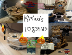 kkaids