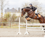 JULY and April’s horse equine lessons